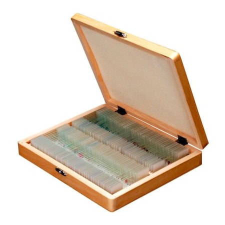 United Scope Llc. AmScope 100 pc. Anatomy Botany Prepared Microscope Slides with Wooden Case PS100D